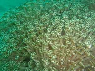 PA279627.JPG