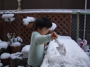 雪景色　孫