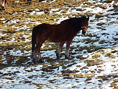 conv0306.JPG