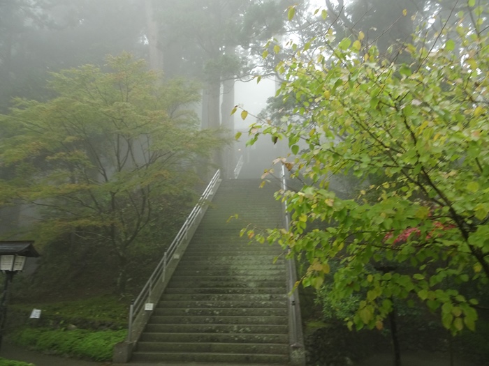 DSC02655_R.JPG