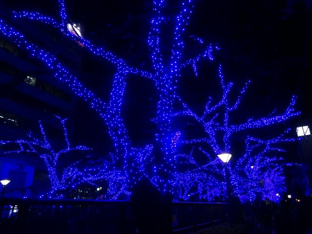 DSC08899_R.JPG