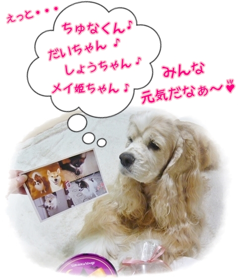 KOママファミリーのお写真!.JPG