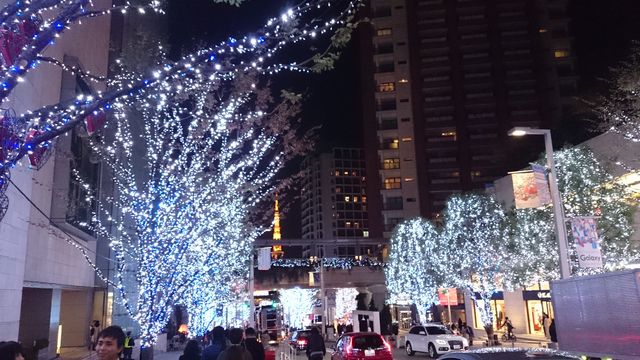 2015-11-28 17.18.07.jpg
