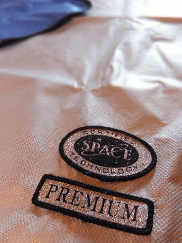 spacedan1.gif