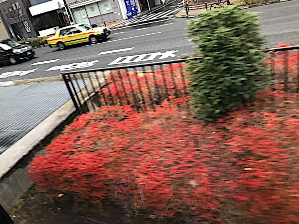 rblog-20181222141406-08.jpg