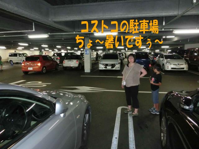 Cimg1174.jpg