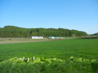 DSCN1090.JPG