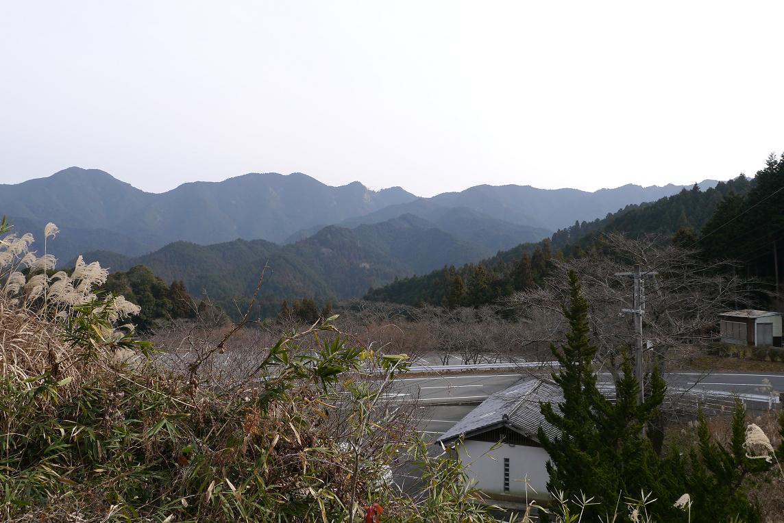 P1010841.JPG