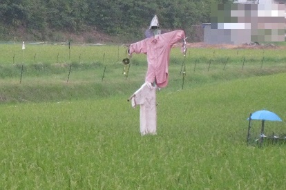 IMG_0888縮小 - コピー.jpg