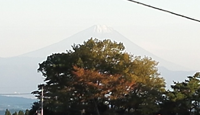 IMG_20171027_161920ss.jpg