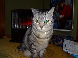 DSC01212.jpg