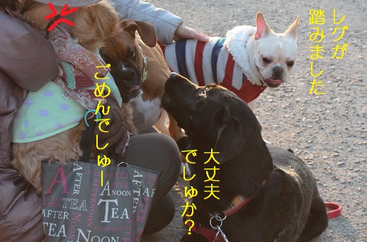 ごめん