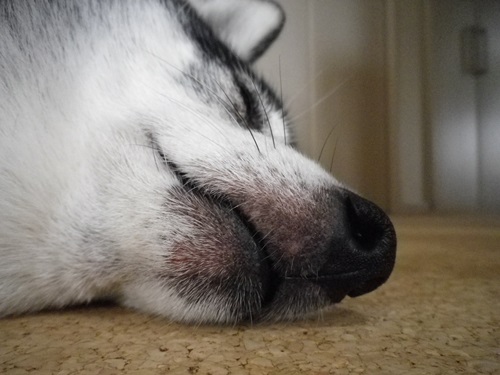 お口が真っ赤か