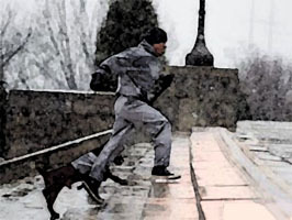 rocky-thumbnail2.jpg