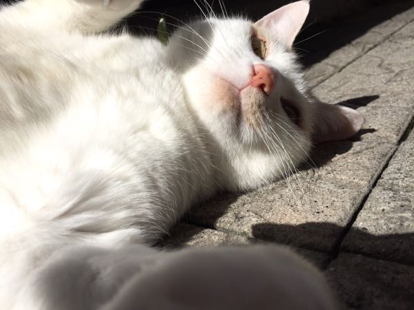 rblog-20160508090059-02.jpg