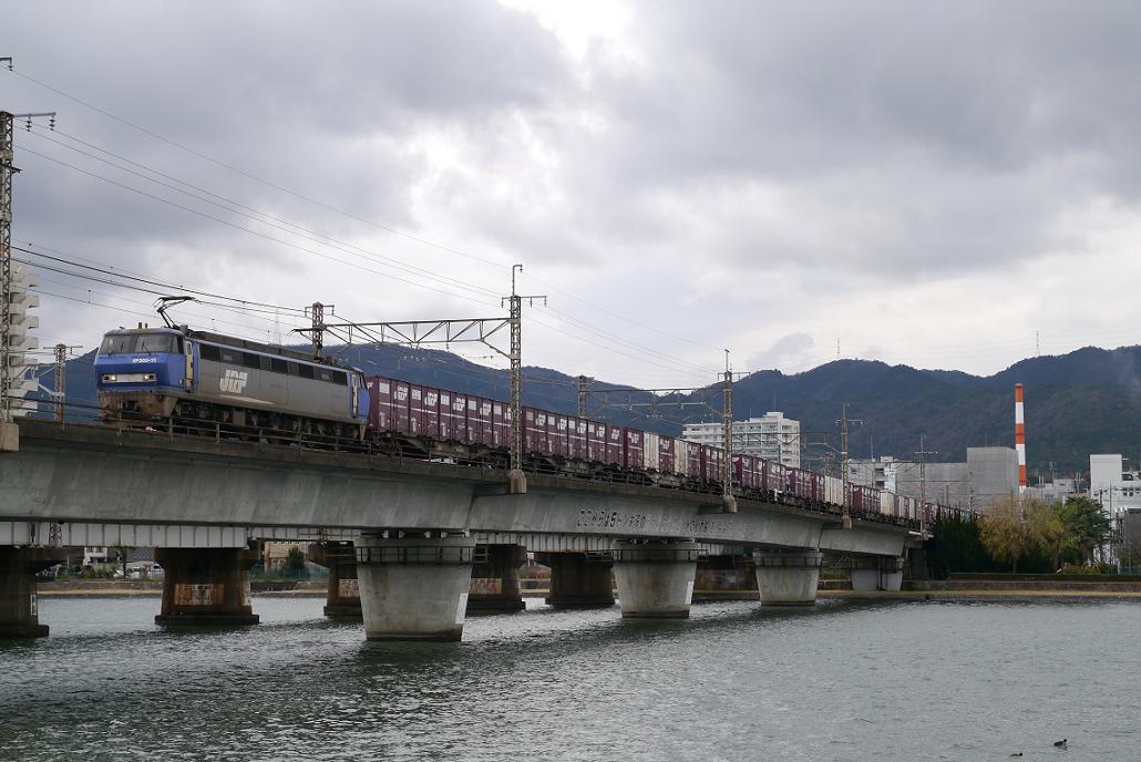 P1010553.JPG