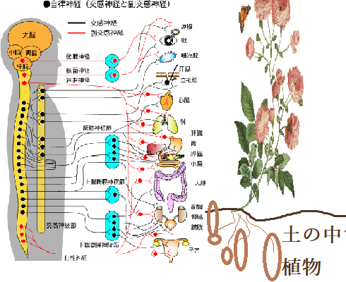 新年、新たな自分：美と健康を深める個人的な抱負 | エステキャリアと