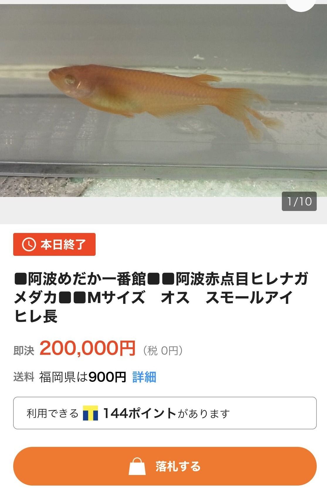 メダカ一匹２０万円 昨日のヤクオク価格です 楽しみに 一緒にメダカを育ててみませんか ぼんちのひとりごと 楽天ブログ