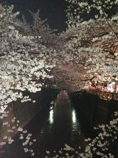 目黒川3.JPG