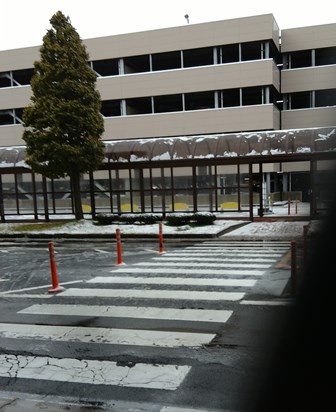初雪