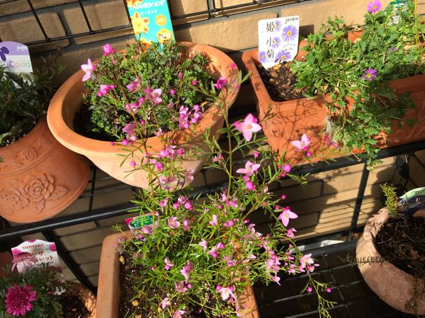 rblog-20190401164244-06.jpg