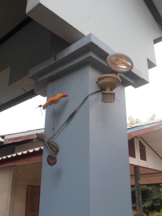 sP1270005.JPG
