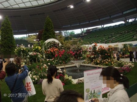 2017_05130013.jpg