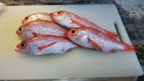 rblog-20171229183413-00.jpg
