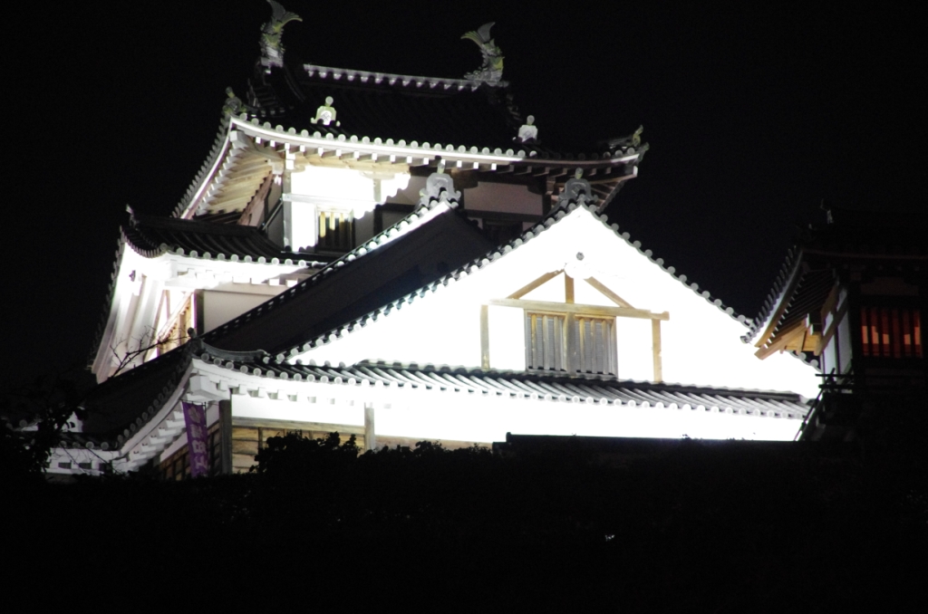 夜の福知山城