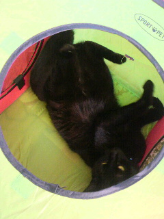 2013072015480001.jpg