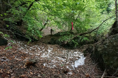 DSC06804.JPG