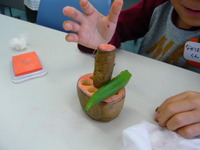 P1000774