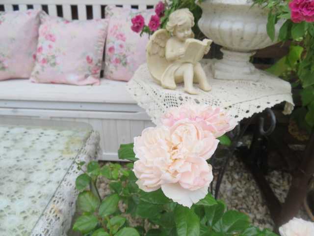 21年07月の記事一覧 ばぁばの薔薇の花園 楽天ブログ