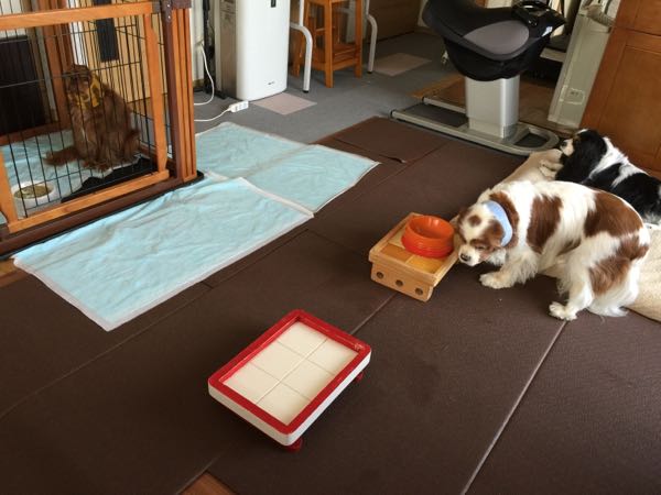 rblog-20160406100354-04.jpg