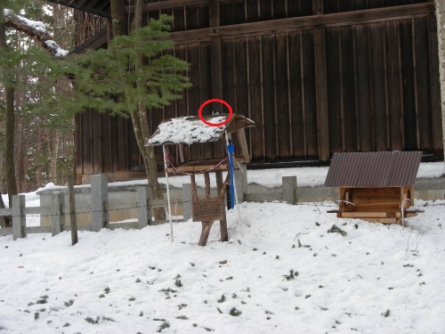 2016-02-20esadai.JPG