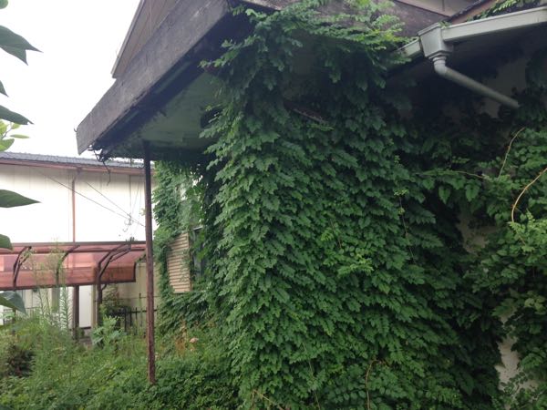 rblog-20160901072722-01.jpg