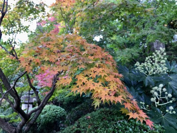 rblog-20161201194911-08.jpg