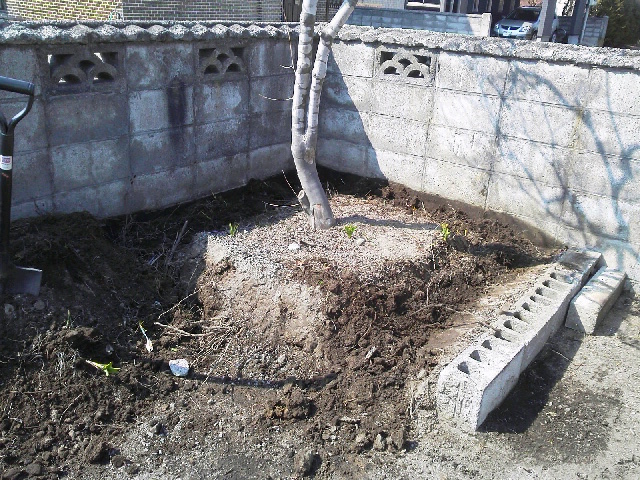2015041416010000.jpg