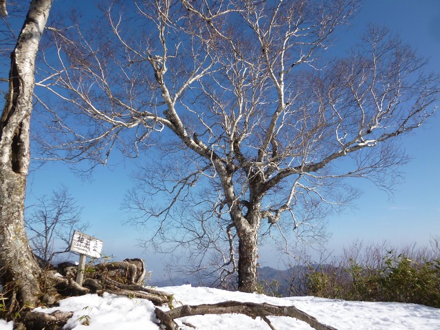 P1320328下山に12：05.jpg