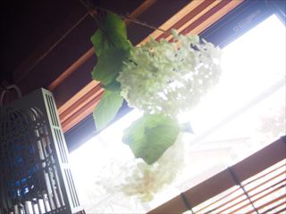 P7030613_R.JPG