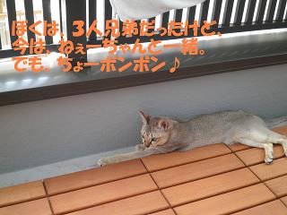 2014.06.01(25%).JPG