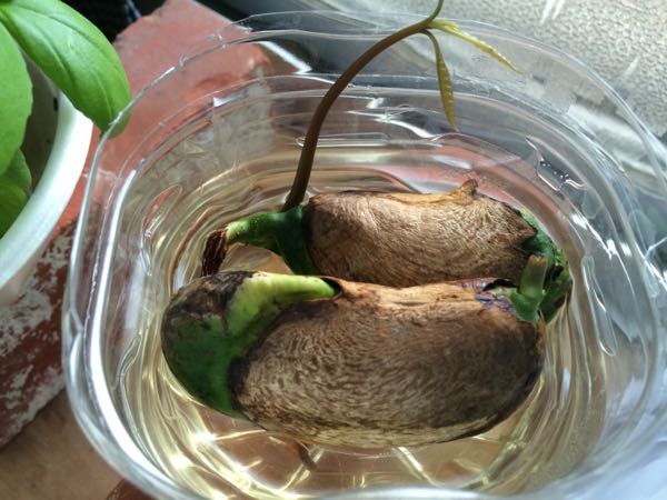rblog-20171022083114-02.jpg