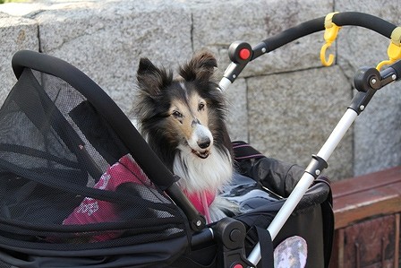 IMG_9994.jpg