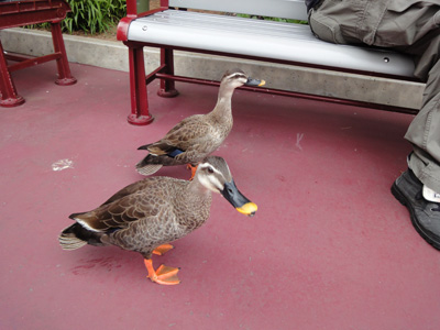 DSC05212.jpg