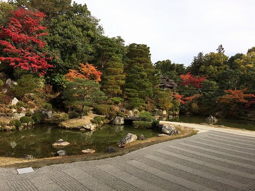 仁和寺庭.jpg