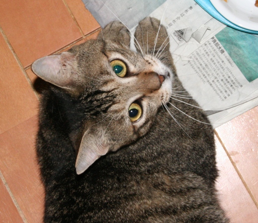 20160105ﾙﾅ03.jpg