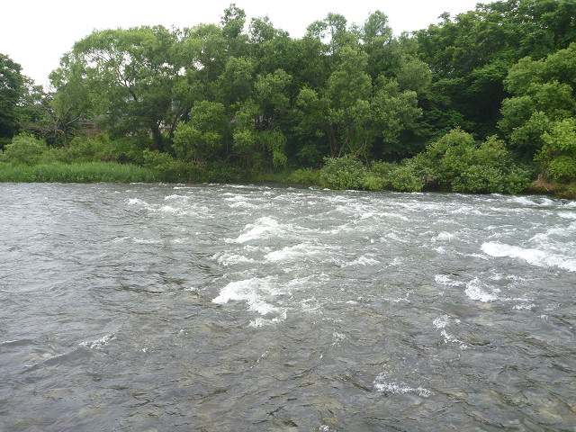resize0027.jpg