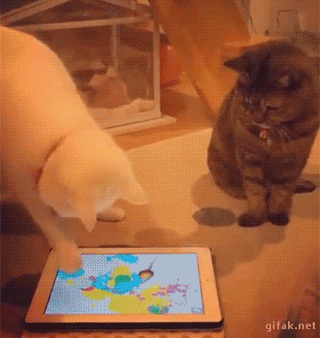 fae2f802de77cb9f803197971df662b3.gif