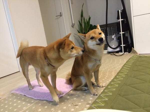 rblog-20151216002501-01.jpg