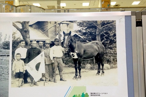 厚別歴史写真パネル展　軍用馬出征